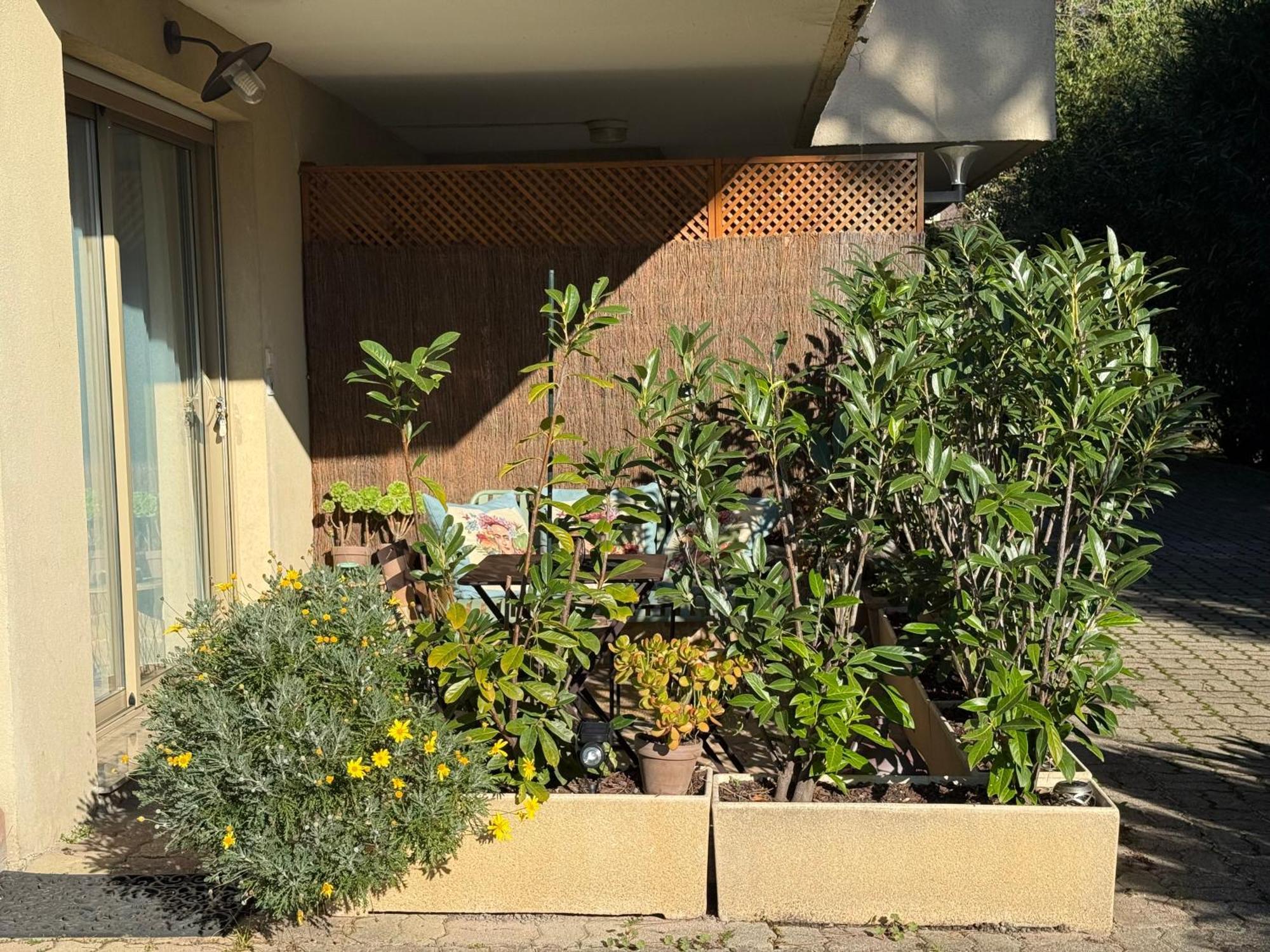 Studio Tout Confort Au Calme Avec Jardin Proche Cannes Le Cannet Exterior photo
